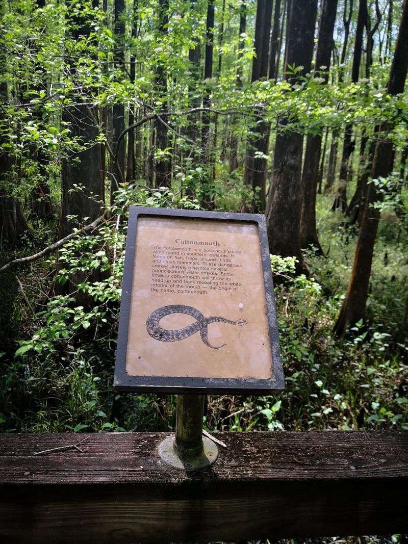 Lower Suwannee National Wildlife Refuge, Chiefland