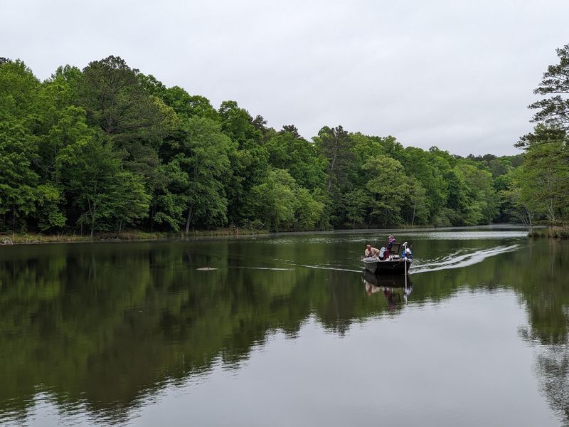 Charlie Elliott Wildlife Center, Mansfield