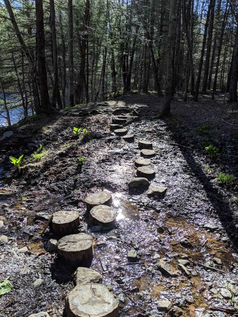 Austin T. Blakeslee Natural Area, Blakeslee