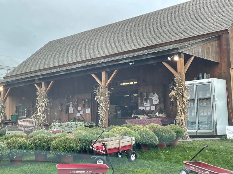 10 Fruit Farms In Connecticut That Belong On Your Summer Bucket List - Decor Hint Dondero Orchards, South Glastonbury