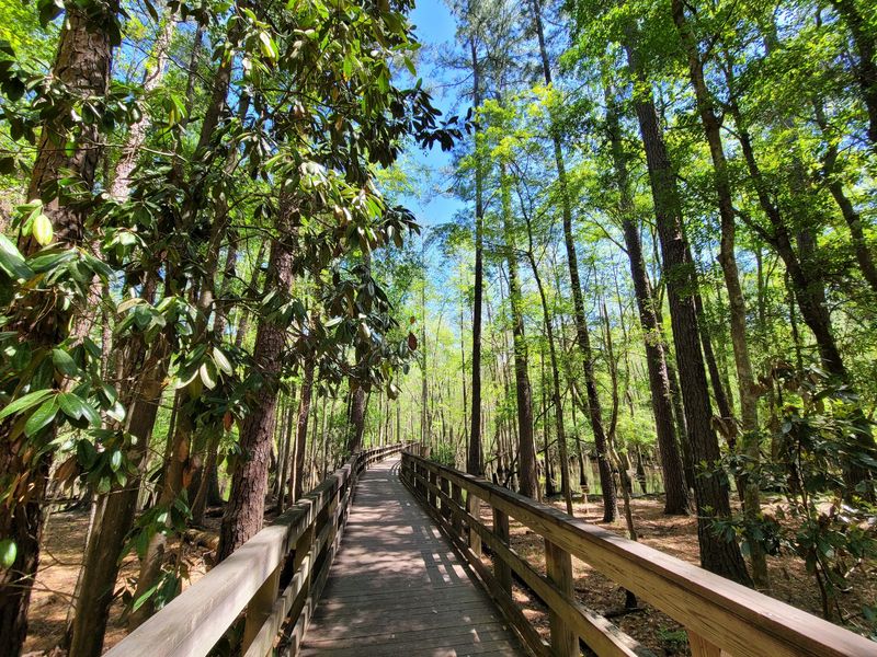 General Coffee State Park, Nicholls