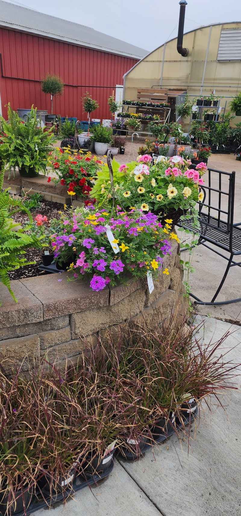 Pick Fresh Blackberries And Early Apples At This Nebraska Farm This August - Decor Hint Early Apples Ready Before September
