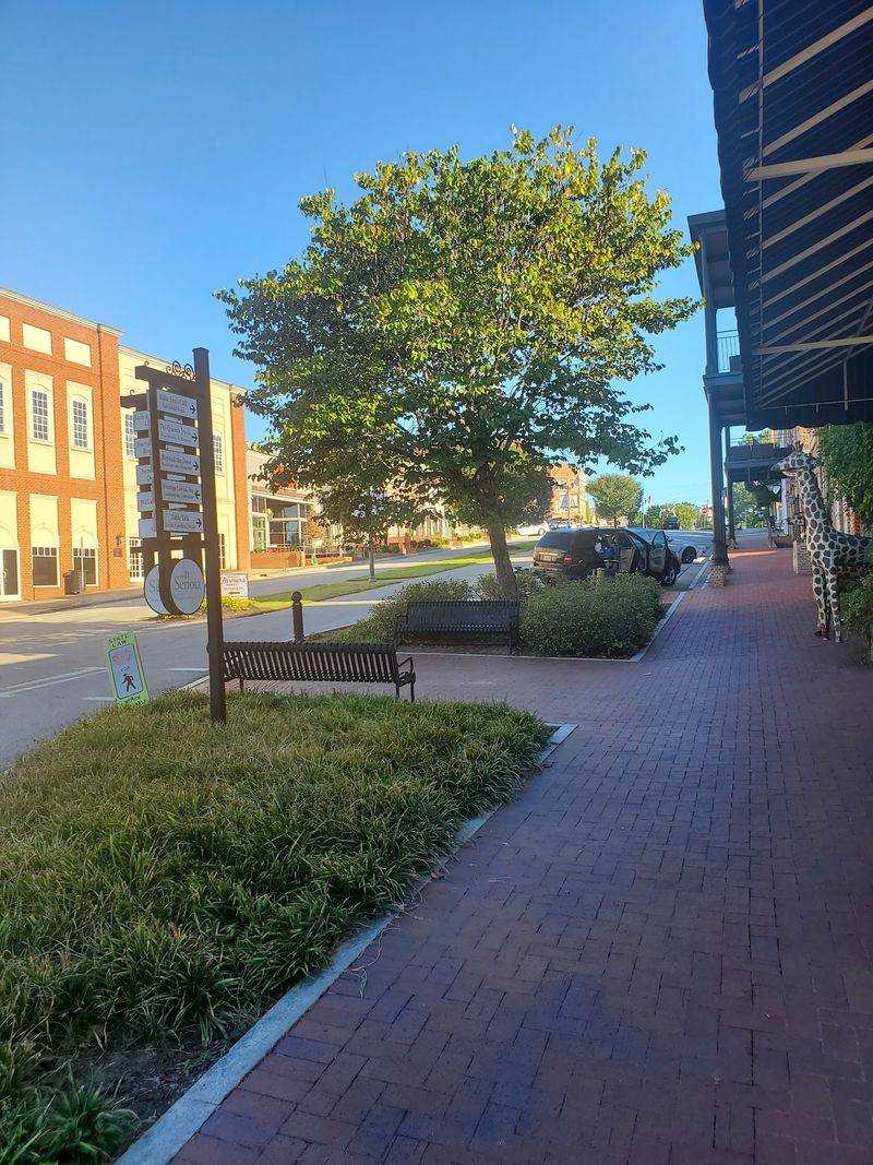 Senoia