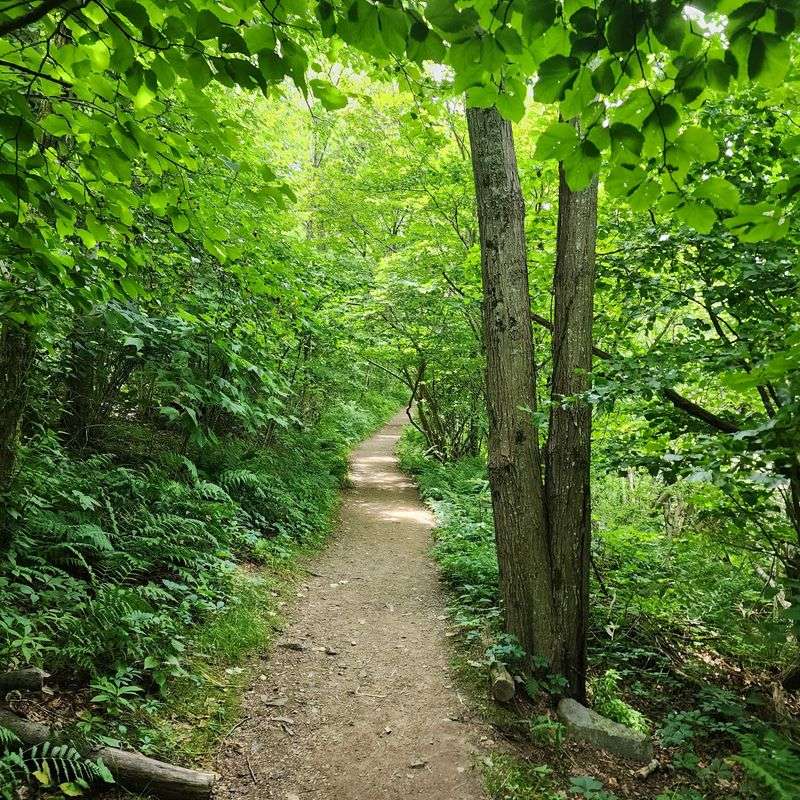 Blackrock Summit, Appalachian Trail, Grottoes