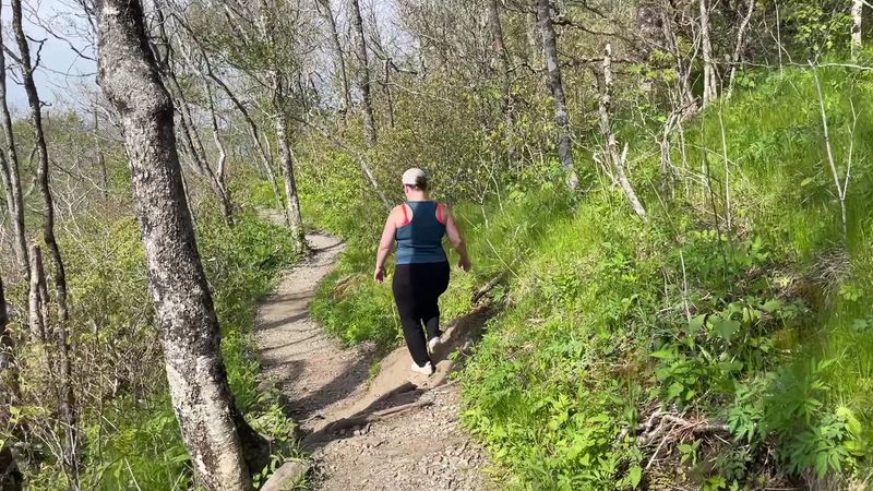 10 Quiet North Carolina Hikes To Escape The August Crowds In 2026 - Decor Hint Summit Trail, Elk Knob State Park, Todd