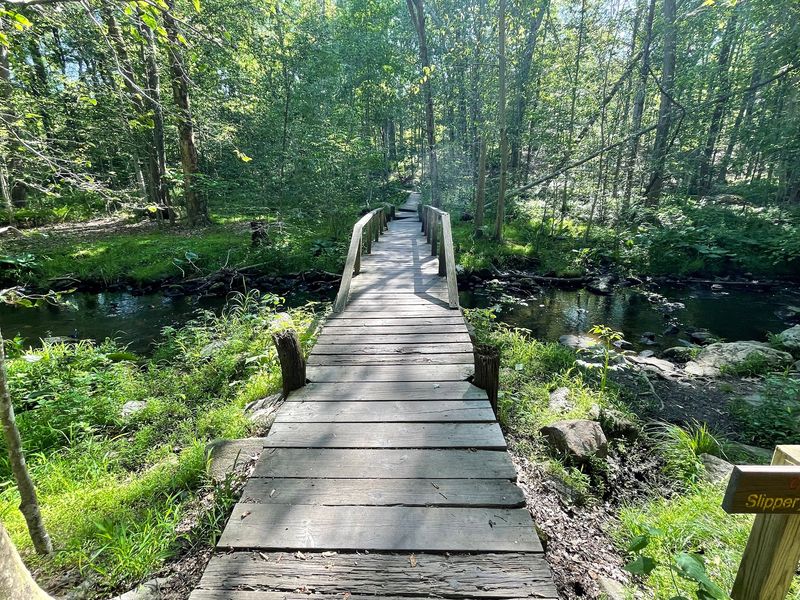Thirteen Gardens Give Every Walk Something New