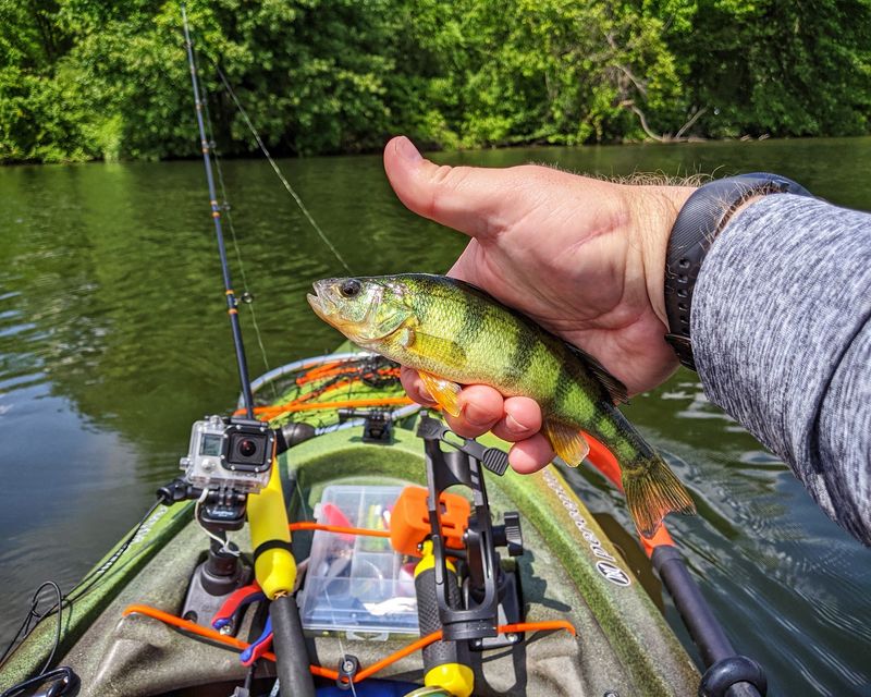Fishing The Warmwater Fishery