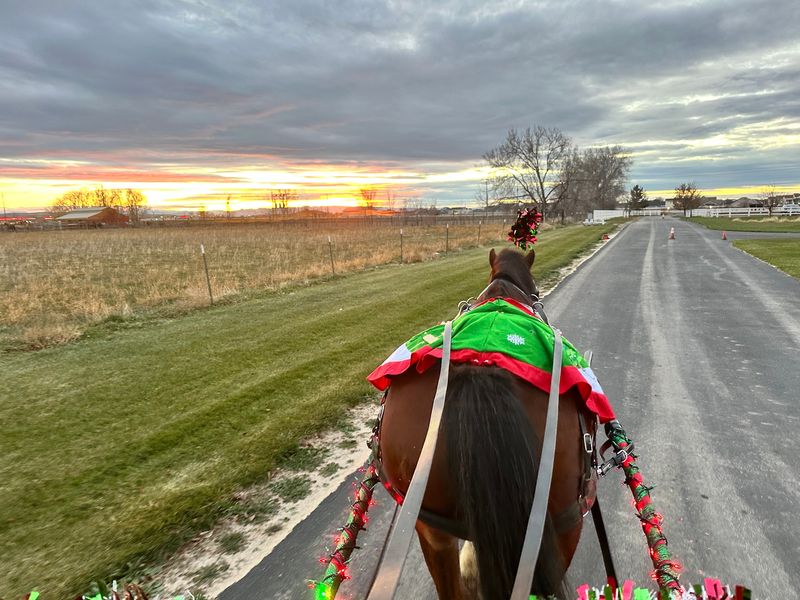 Few Modern Outings Feel Quite As Different As Hearing Hooves Set The Pace