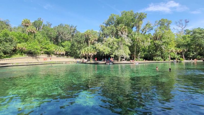 10 Self-Drive Day Trips Around Orlando, Florida Worth Taking - Decor Hint Wekiwa Springs State Park, Apopka