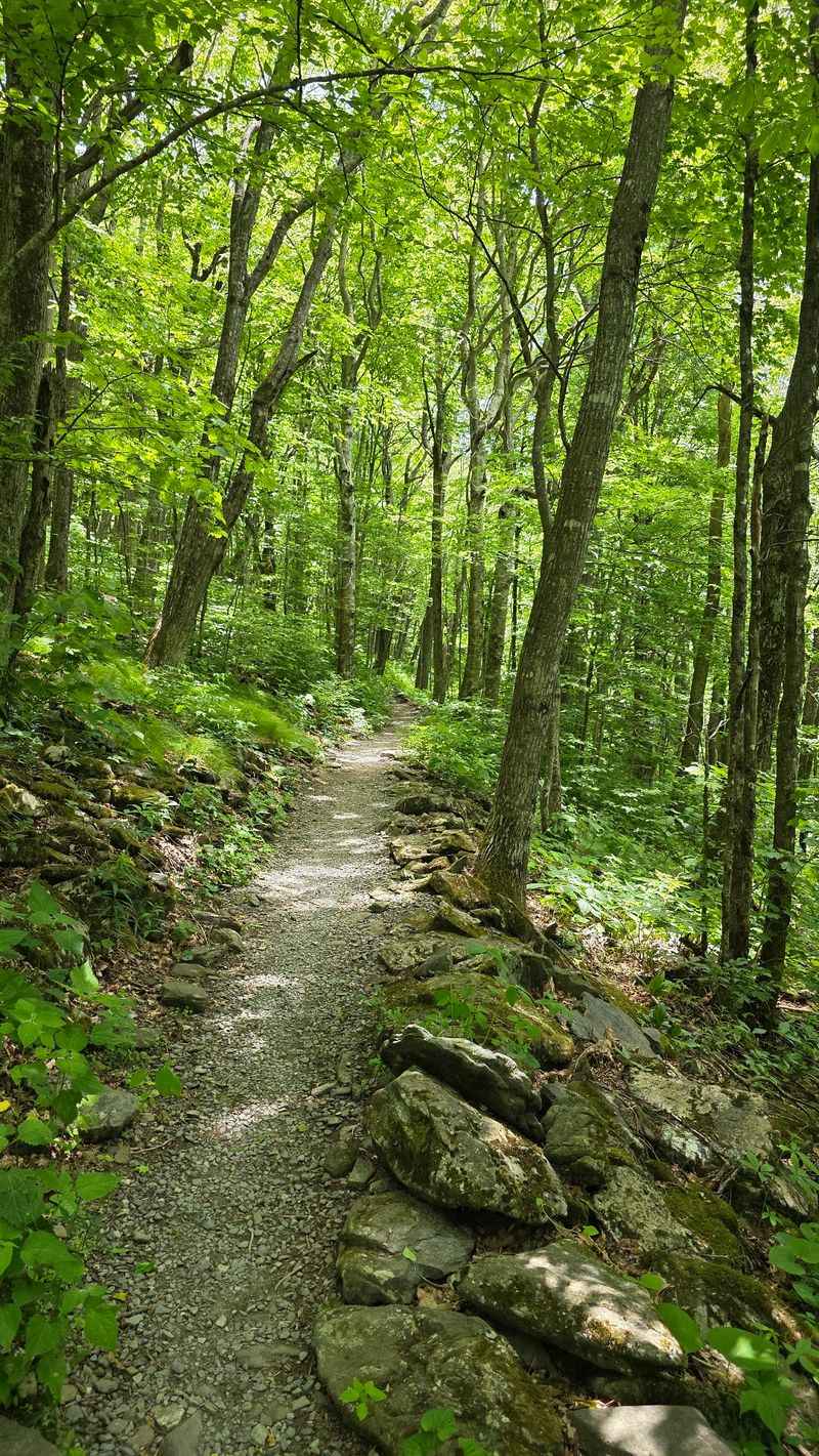Elk Knob Summit Trail, Elk Knob State Park