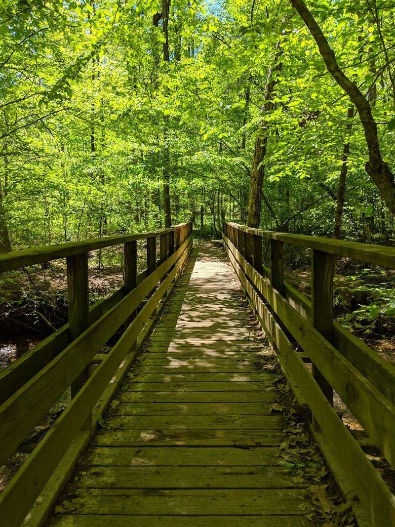Johnston Mill Nature Preserve Trails, Chapel Hill
