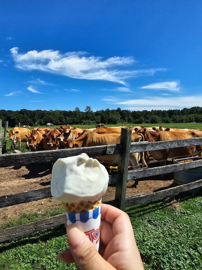 Families Can Turn A Simple Ice Cream Run Into An Easy Outing