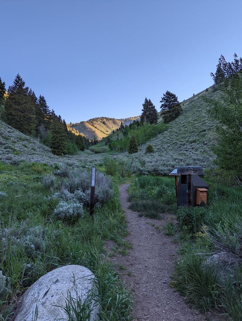 Taylor Canyon Loop Trail, Near Sandpoint
