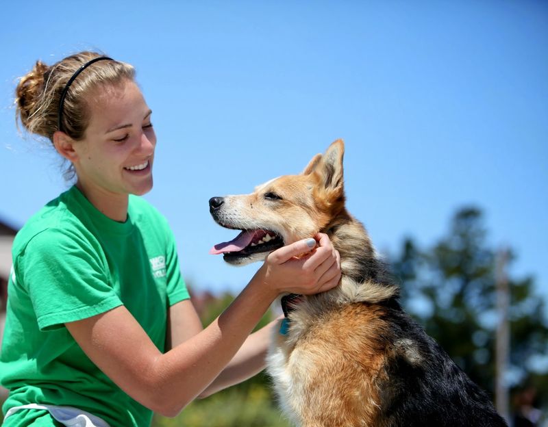 Woods Humane Society