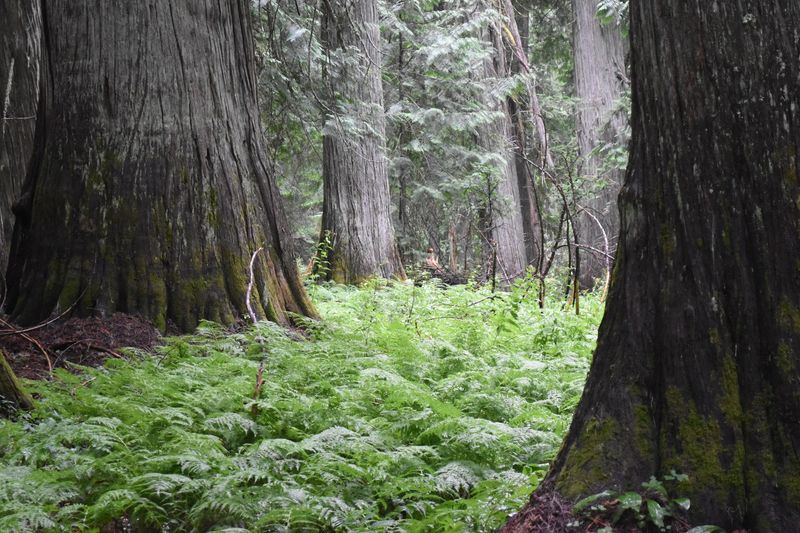 Enjoy A Quiet Walk That Feels Far Removed From Busier Idaho Attractions
