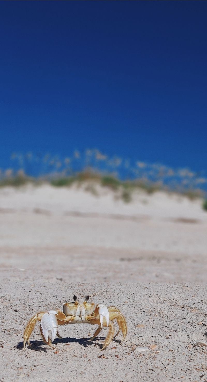 Follow The Sand Toward The Quietest Stretch