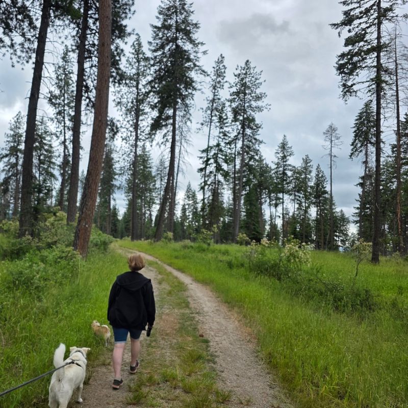 Take Your Time Around The Quietest Sections Of The Loop