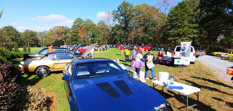 Stick Around For Music, Food, And Festival Activities Across The Winery