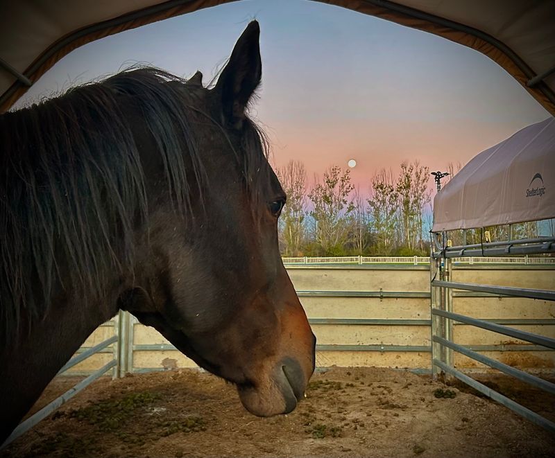 Come Back For Another Lesson Once The First Ride Hooks You