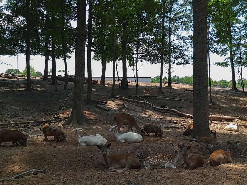 Take Your Time Because The 186-Acre Property Covers A Lot Of Ground