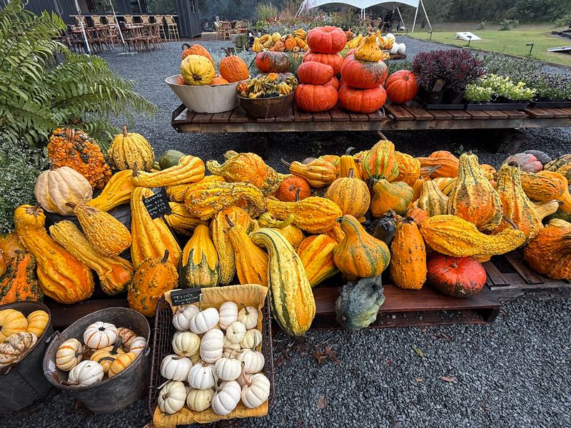 Come Back To See Which Seasonal Flavors Show Up Next
