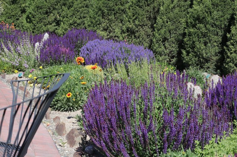 Find A Quiet Bench And Stay A Little Longer Than Planned