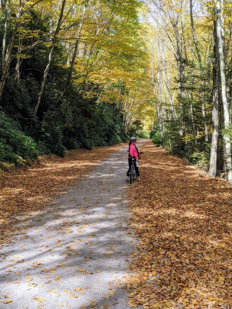 Biking The Lehigh Gorge Rail Trail