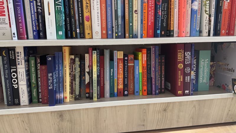 This Cozy Nebraska Bookstore Has A Terrace, Collectible Books And A Cat Who Thinks He Runs The Place - Decor Hint Dig Through The Gently Used Book Section