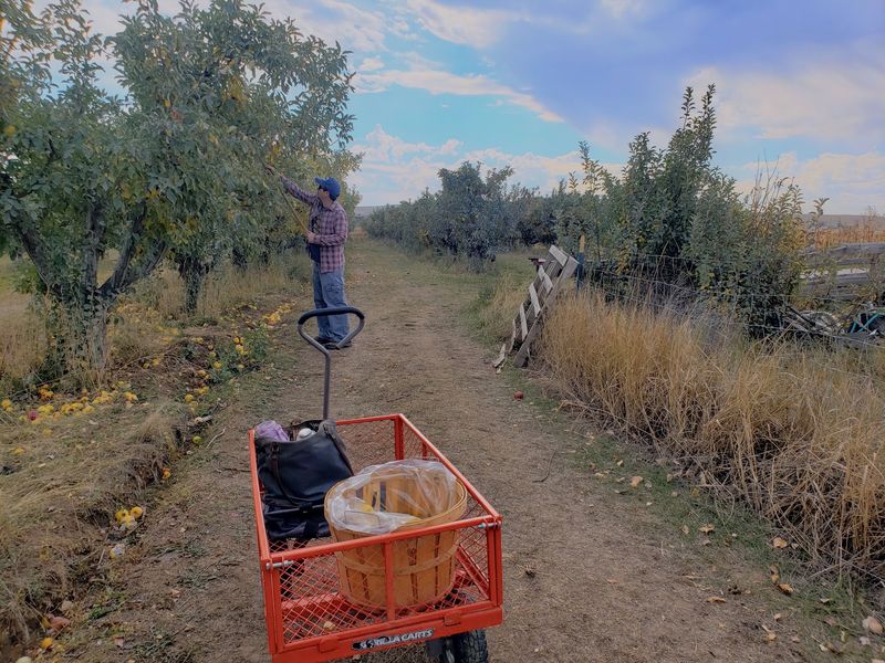 Come Back In October For Pumpkins And A Free Hayride