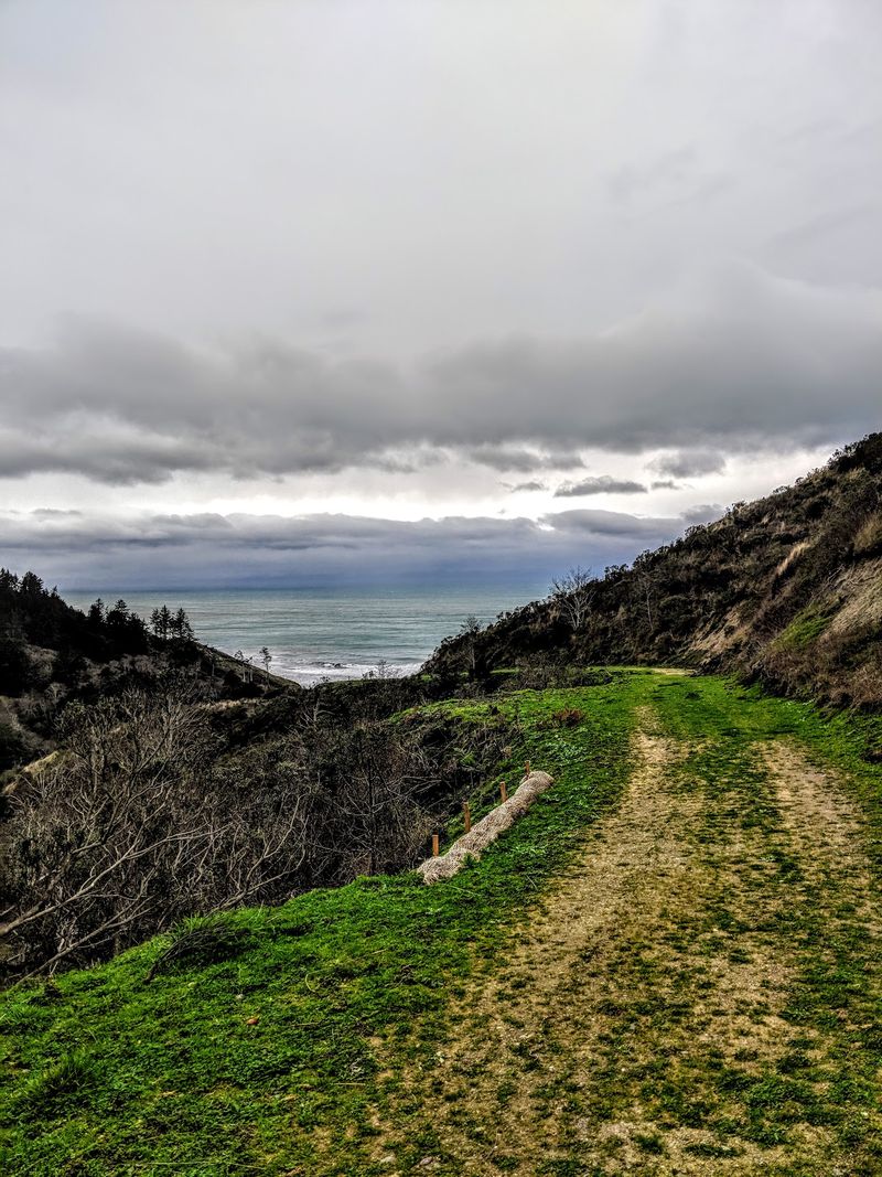 Hike The Coastal Bluffs Around Guthrie Creek