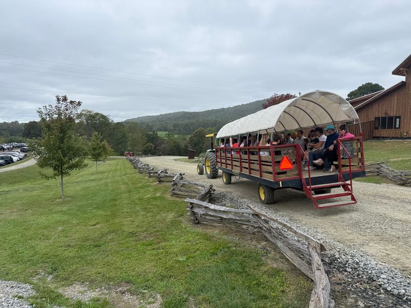 This 400-Acre North Carolina Mountain Farm Has Sunflowers, U-Pick Fruit And Wagon Rides - Decor Hint Come Back Later In The Season When The Harvest Completely Changes