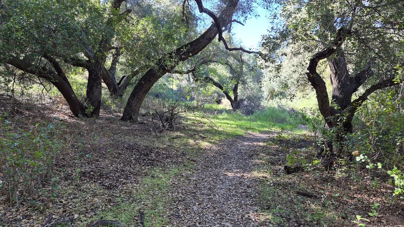 Nearby Trails Create Plenty Of Options For Exploring The Simi Hills