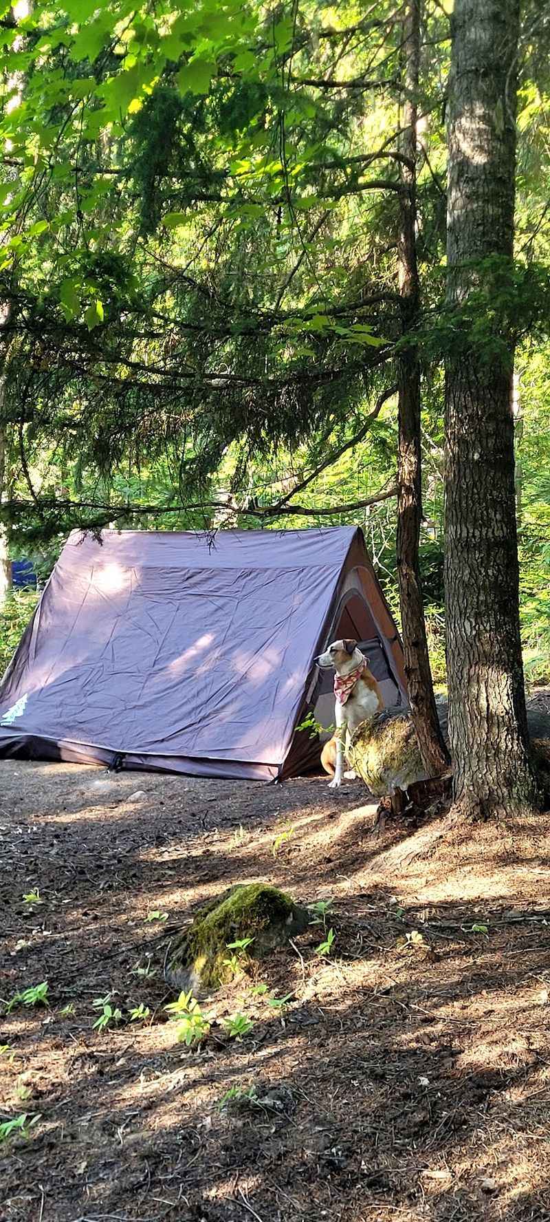 Osprey Campground