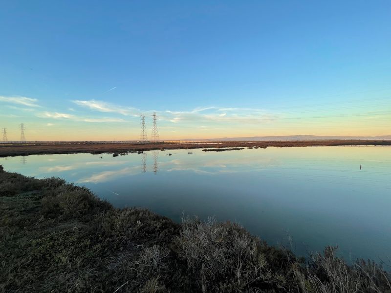 Nature Minutes From The Freeway Without The Long Drive