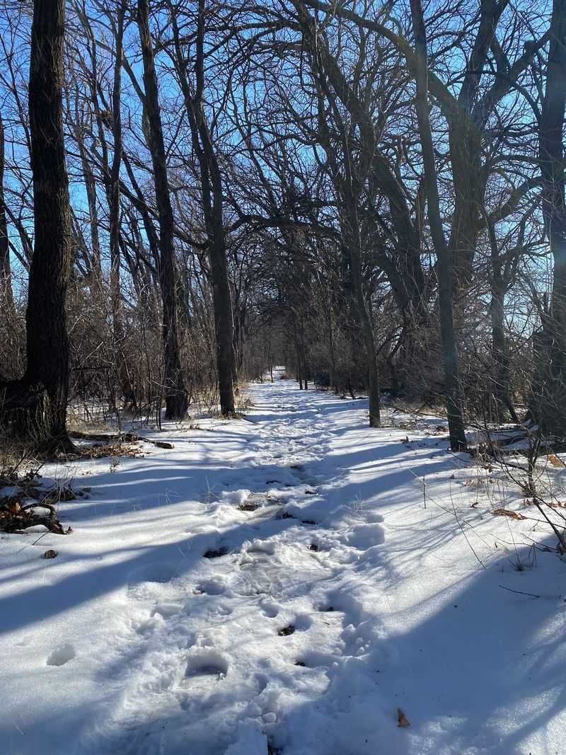 Bay Trail Park Connections Across The Region