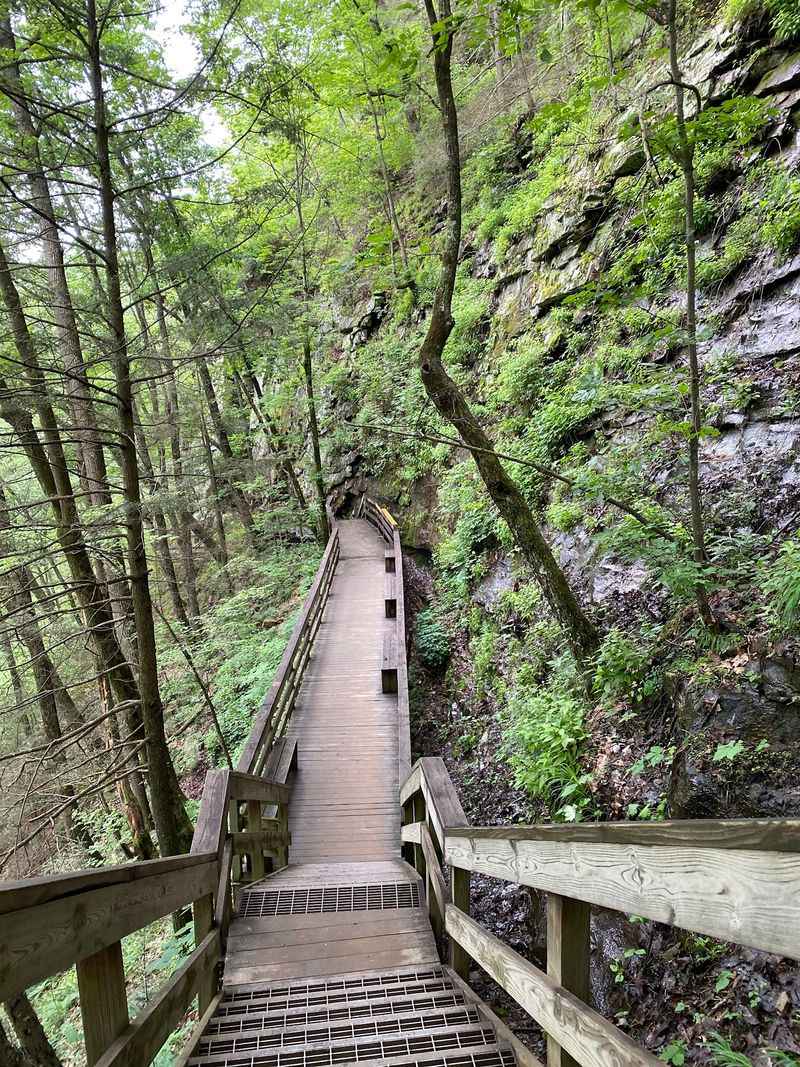 Cloudland Canyon - Stairs, Waterfalls, And Big Views