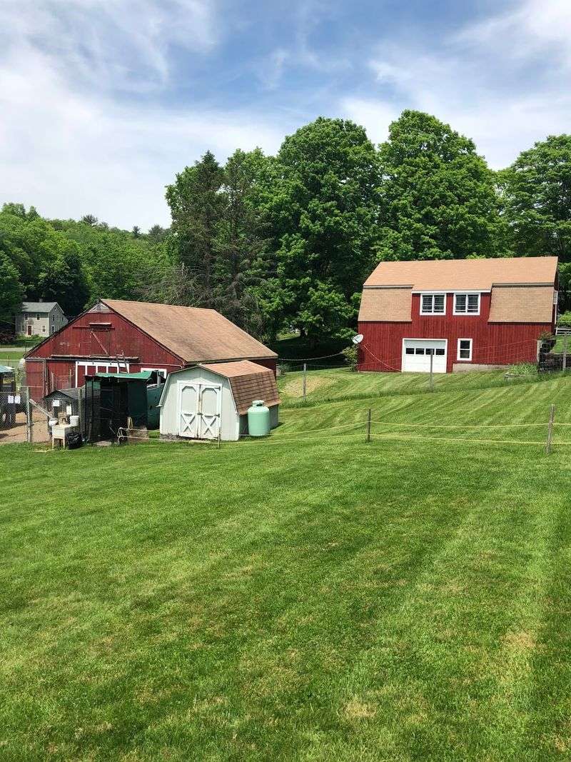 This Connecticut Animal Farm Lets You Feed Exotic Animals And Meet Everything From Zebras To Kangaroos - Decor Hint The Smaller Setting Makes Animal Encounters Feel More Personal