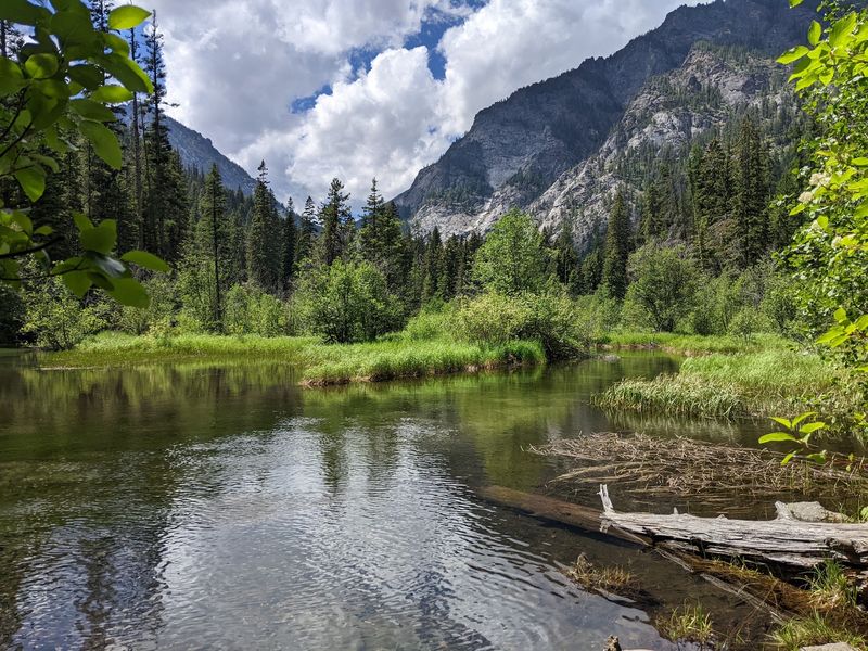 Watch For Wildlife In Vast Undisturbed Habitat