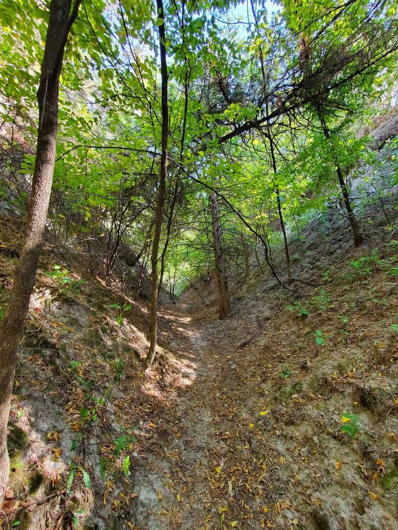 Explore 153 Acres Of Pine-Covered Nebraska Scenery