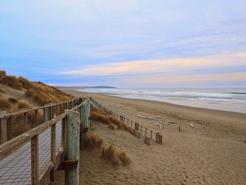Bodega Dunes Beach, Sonoma Coast State Park