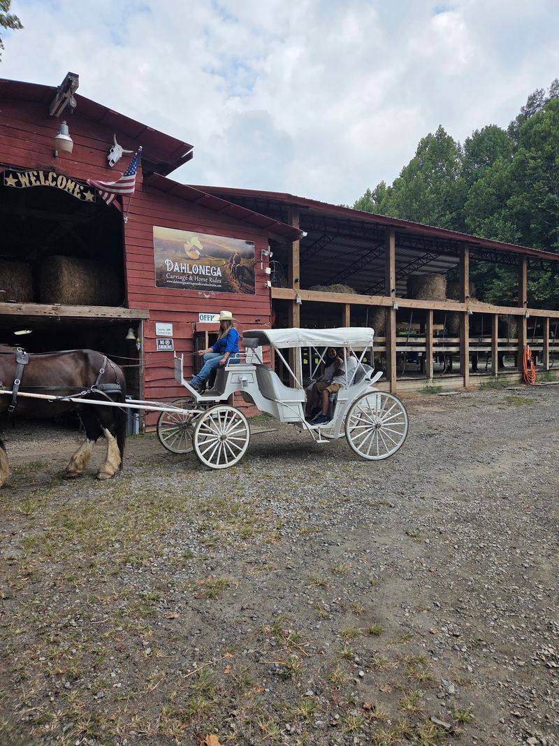 Chuck Wagon Dinner Rides At The Riverhouse