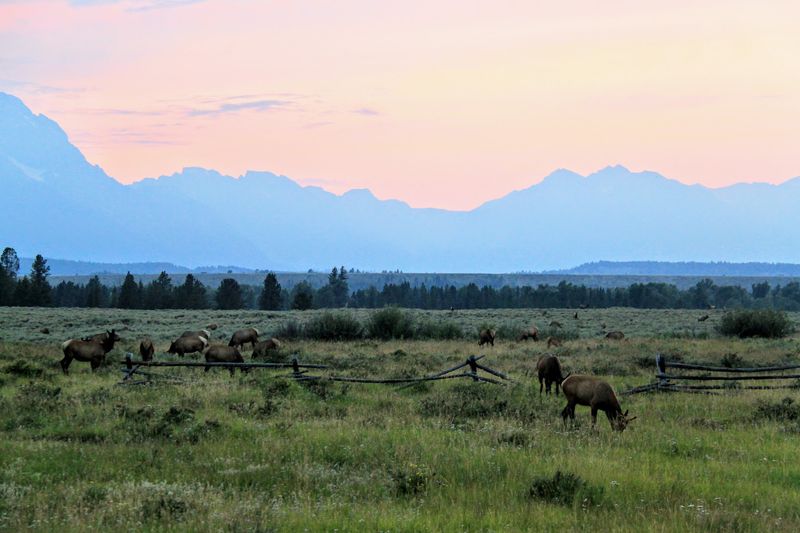 Victor's Teton Gateway