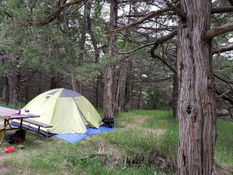 Camp Within Steps Of The Creek