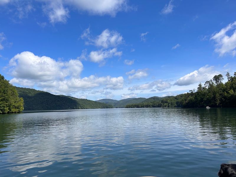 Swim In Clear Water Surrounded By Nantahala National Forest