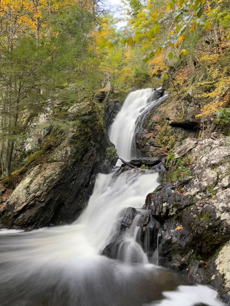 Campbell Falls State Park Reserve, Norfolk