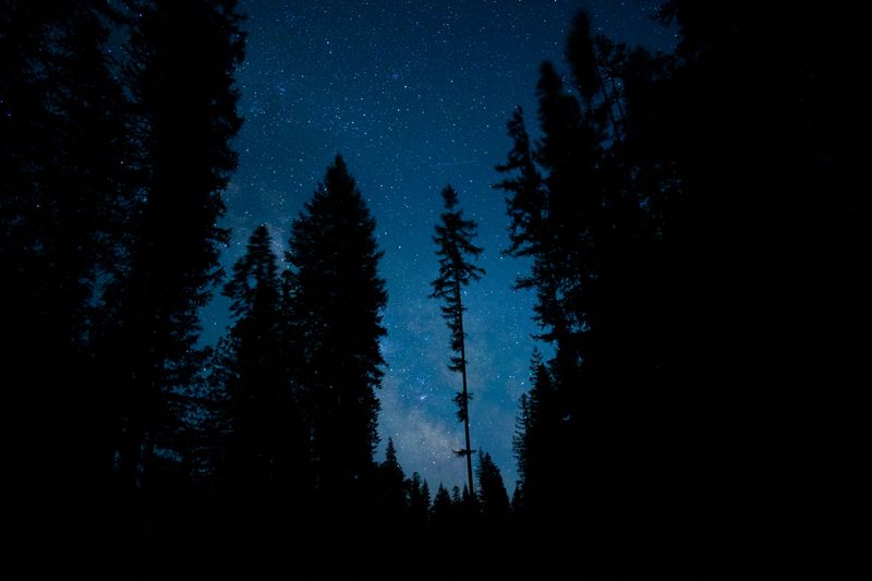 Sun Valley Area