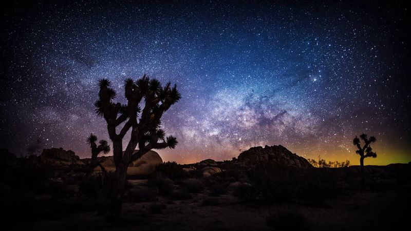 13 Easy California Getaways From Los Angeles Worth Taking In 2026 - Decor Hint Joshua Tree National Park