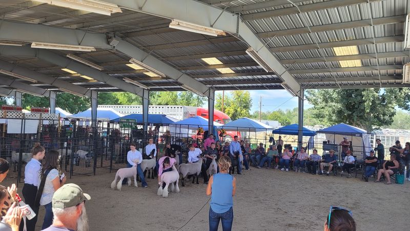 Make Time For Livestock Shows And Idaho’s Agricultural Traditions