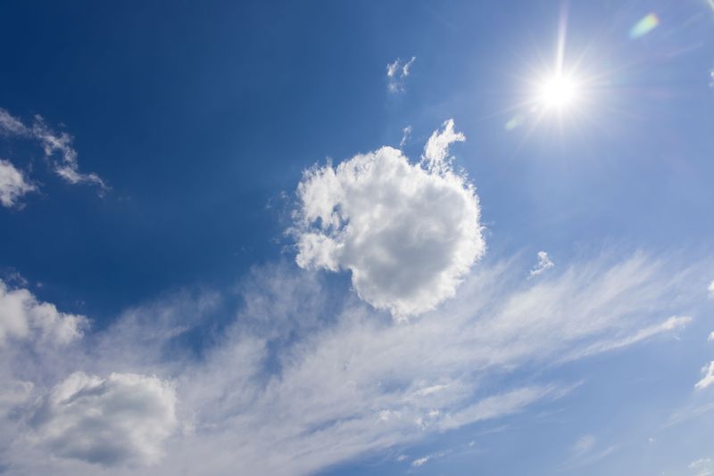 Make Raleigh’s Frequent Sunshine Part Of Your Everyday Routine