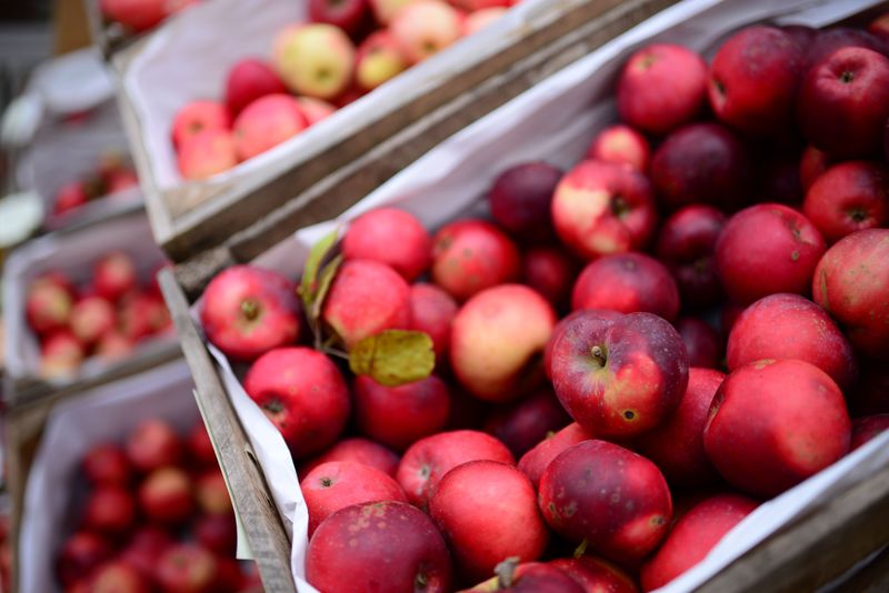 Meet Henderson County Growers Behind One Of North Carolina’s Biggest Crops